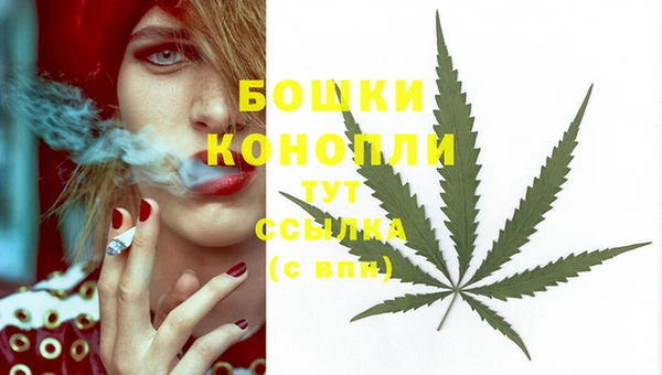 кокаин Краснослободск