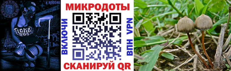 Псилоцибиновые грибы Psilocybine cubensis  Сурск 